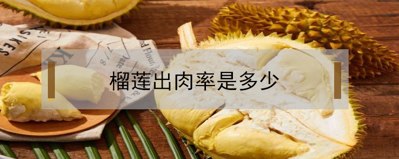 榴蓮出肉率是多少