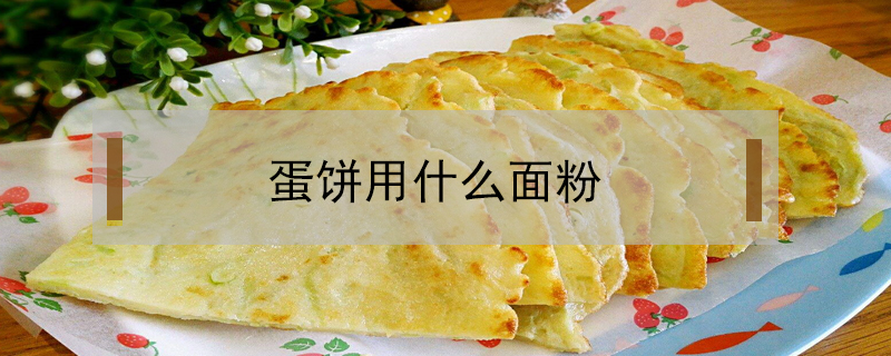 蛋餅用什么面粉