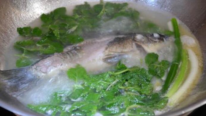 鯽魚湯怎樣做營養高