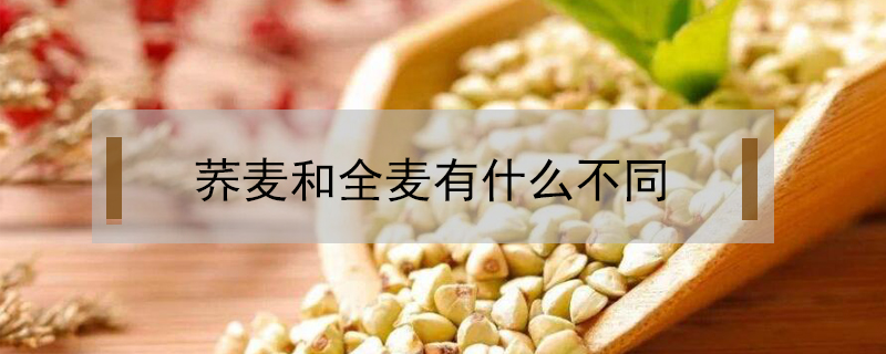蕎麥和全麥有什么不同