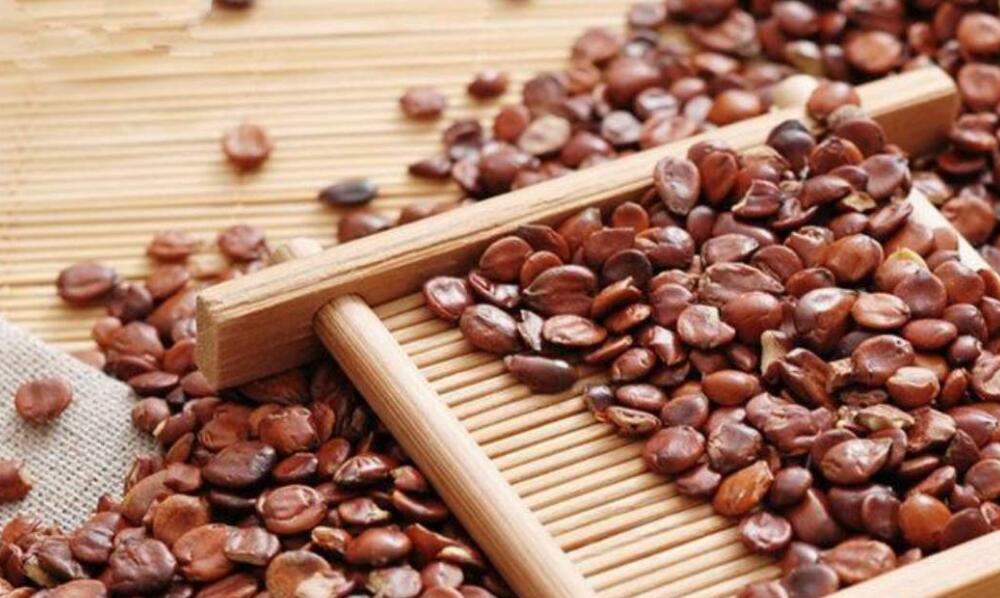 酸棗仁10克大概多少粒