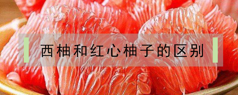 西柚和紅心柚子的區別