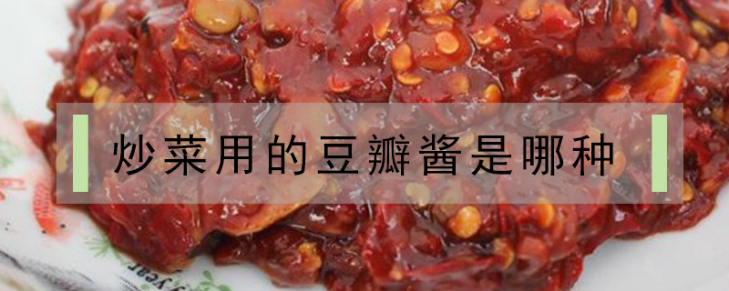 炒菜用的豆瓣醬是哪種