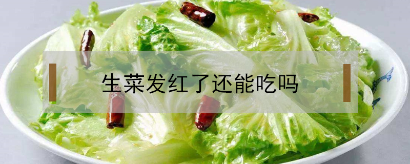 生菜發紅了還能吃嗎