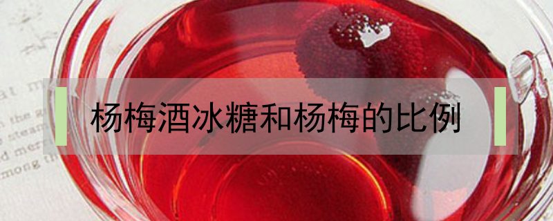 楊梅酒冰糖和楊梅的比例