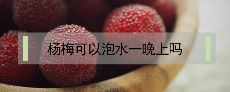 楊梅可以泡水一晚上嗎