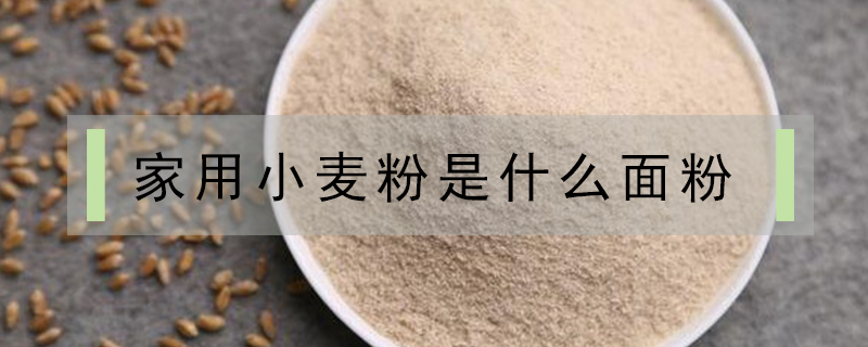家用小麥粉是什么面粉
