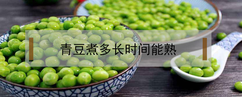 青豆煮多長時間能熟