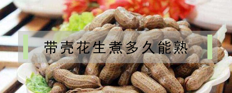 帶殼花生煮多久能熟