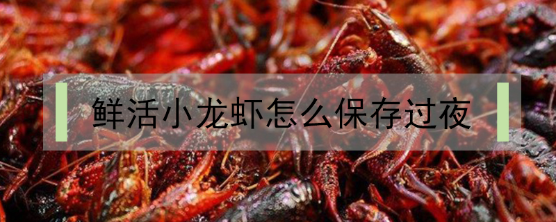 鮮活小龍蝦怎么保存過(guò)夜