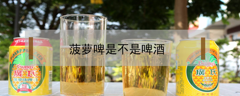 菠蘿啤是不是啤酒