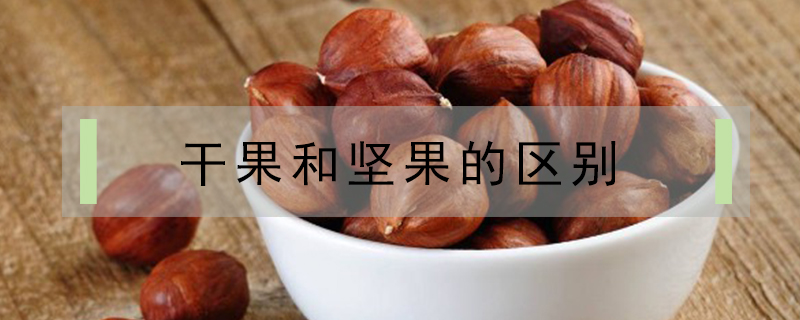 干果和堅果的區別