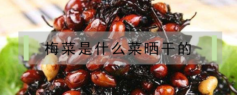 梅菜是什么菜曬干的