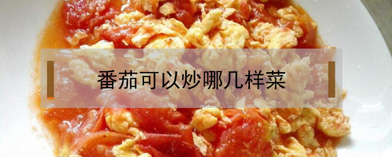 番茄可以炒哪幾樣菜