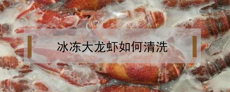 冰凍大龍蝦如何清洗