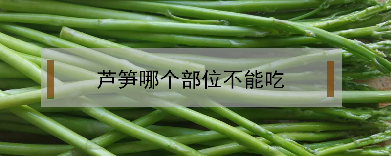 蘆筍哪個部位不能吃