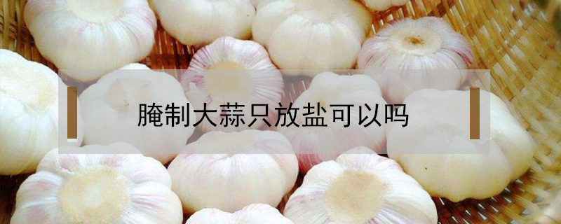 腌制大蒜只放鹽可以嗎