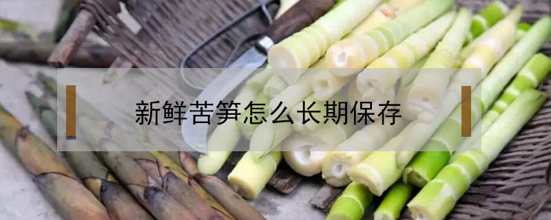 新鮮苦筍怎么長期保存
