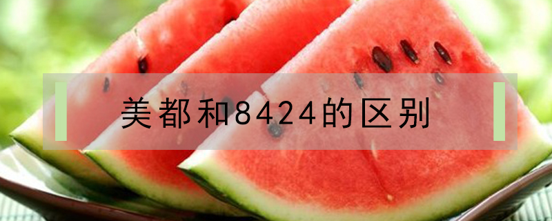 美都和8424的區別