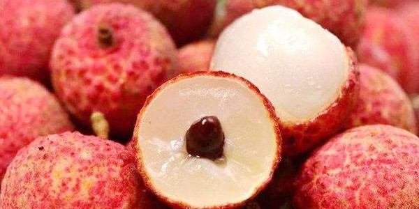 糯米糍荔枝幾月成熟