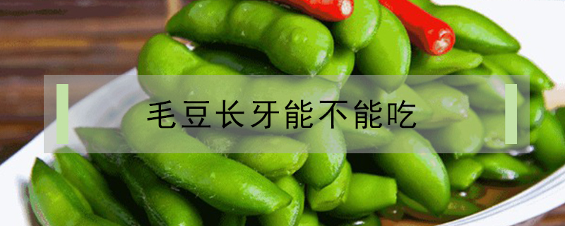 毛豆長牙能不能吃