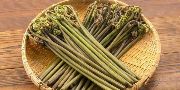 蕨菜怎么腌制不會爛