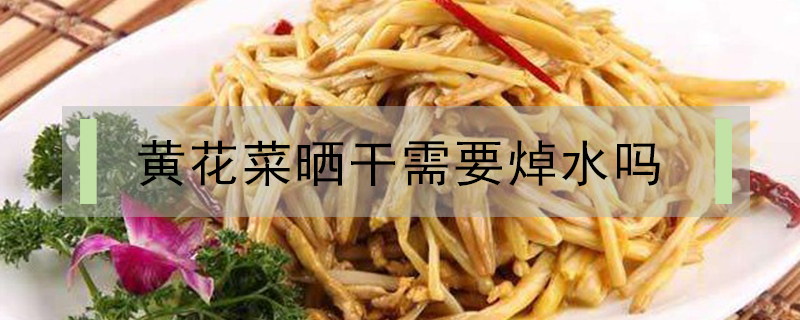 黃花菜曬干需要焯水嗎