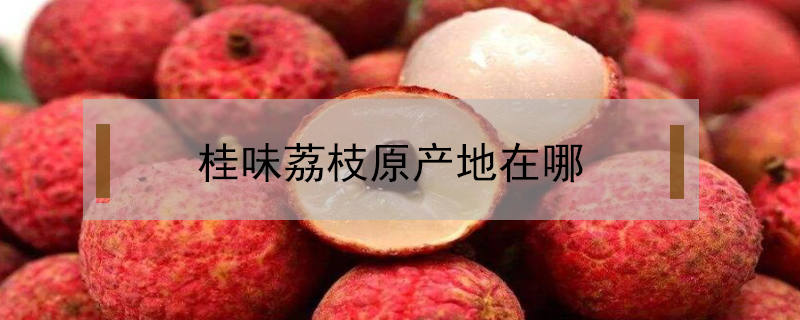 桂味荔枝原產地在哪