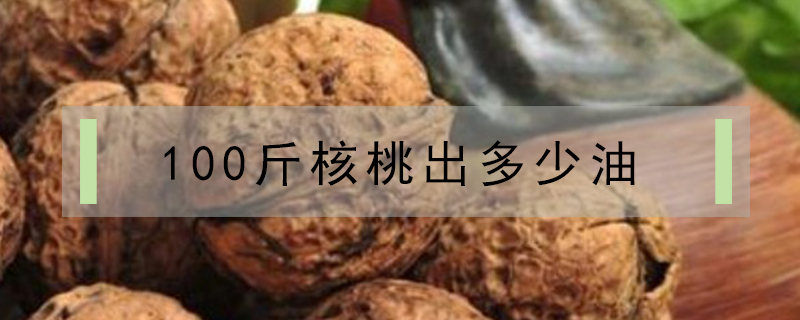 想做鹵菜需要學習嗎