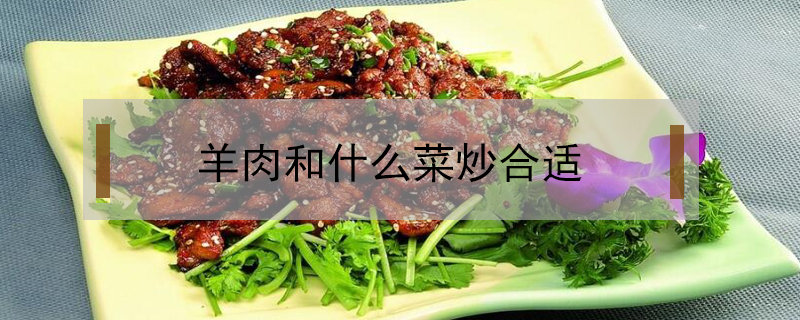 羊肉和什么菜炒合適