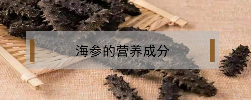 海參的營養成分
