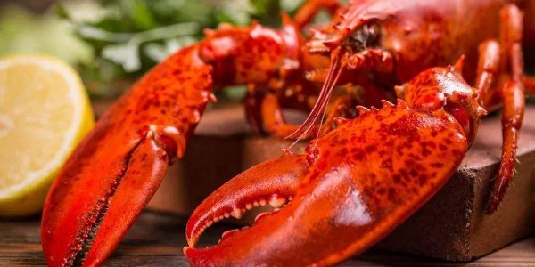 小龍蝦蝦頭可以吃嗎