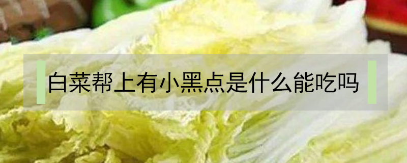 白菜幫上有小黑點是什么能吃嗎