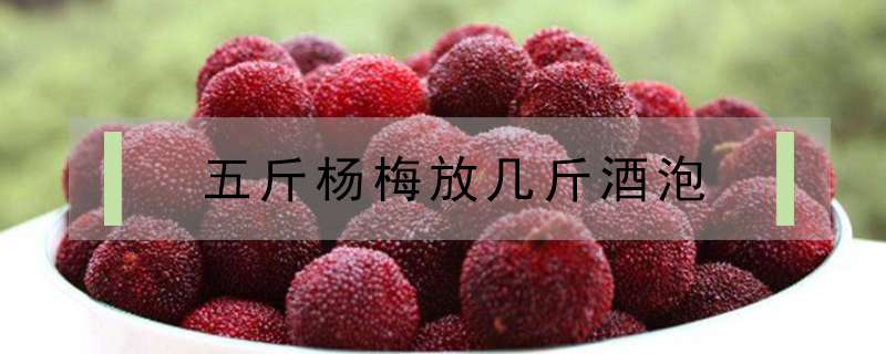 楊梅泡酒需要洗嗎
