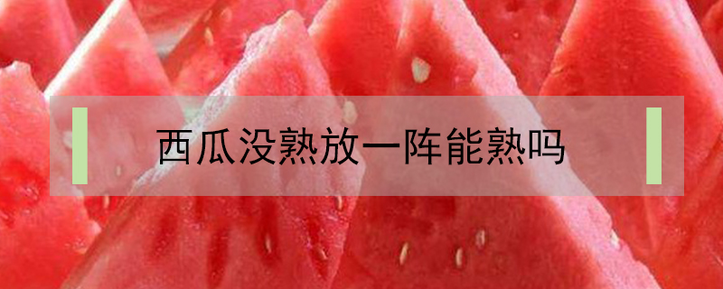西瓜沒熟放一陣能熟嗎