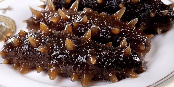 海參怎么煮