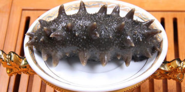 海參怎么煮