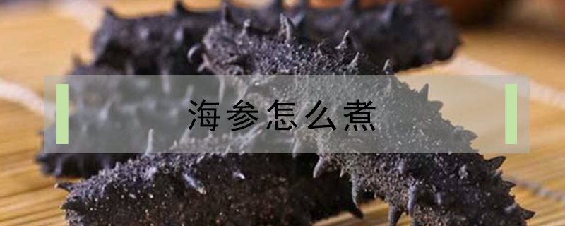 海參怎么煮