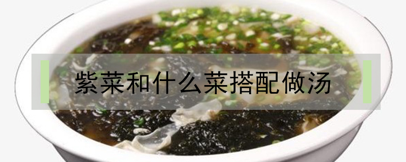 紫菜和什么菜搭配做湯