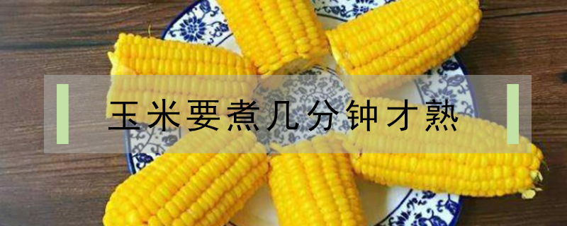 玉米要煮幾分鐘才熟