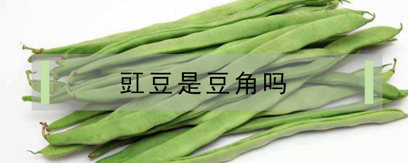 豇豆是豆角嗎
