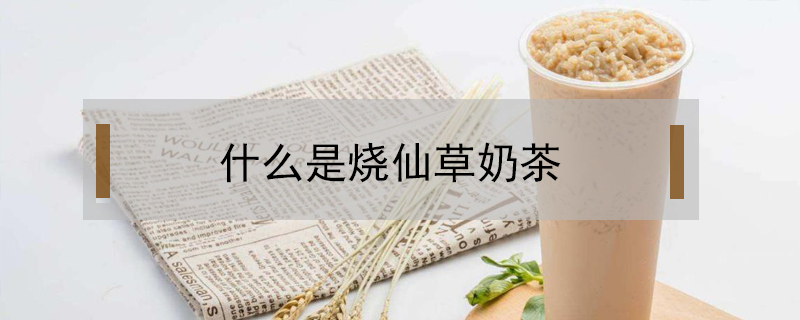 什么是燒仙草奶茶