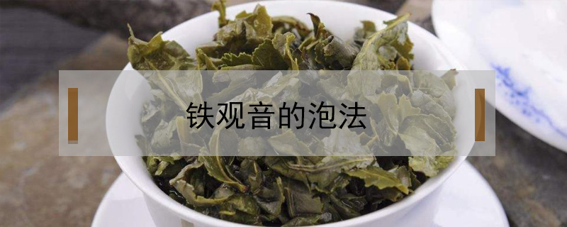 鐵觀音的泡法