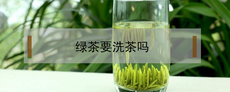綠茶要洗茶嗎