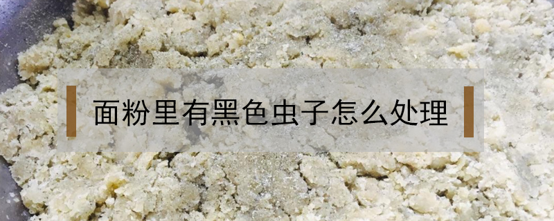 面粉里有黑色蟲子怎么處理
