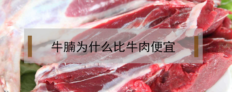 牛腩為什么比牛肉便宜