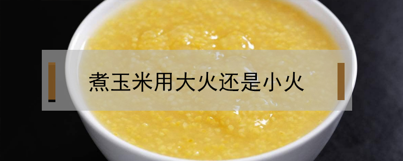 煮玉米用大火還是小火