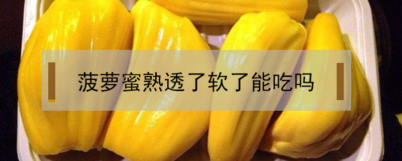 菠蘿蜜熟透了軟了能吃嗎