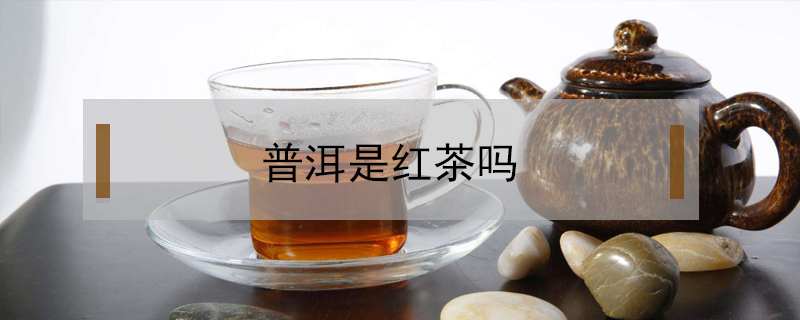 普洱是紅茶嗎