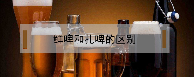 鮮啤和扎啤的區別